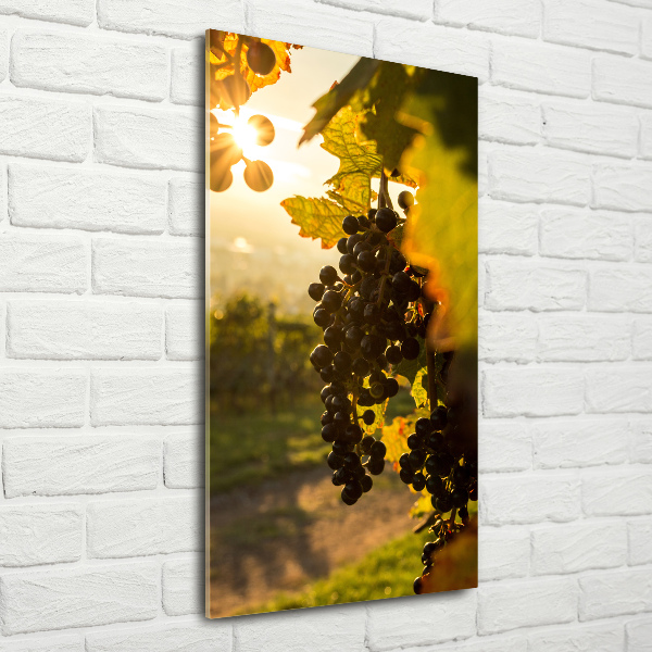 Wall art acrylic Vineyard