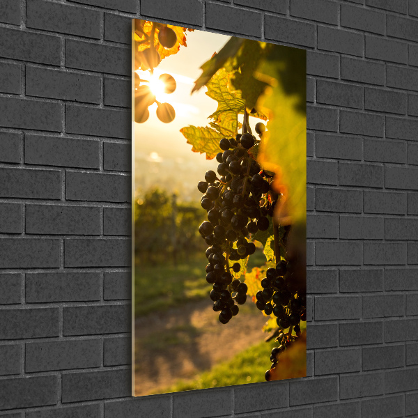 Wall art acrylic Vineyard