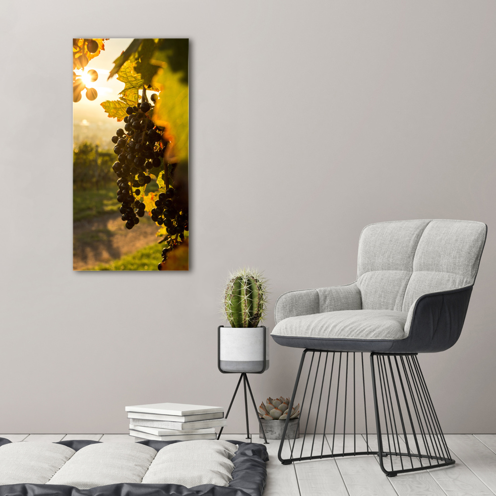 Wall art acrylic Vineyard