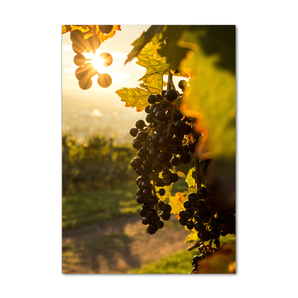 Wall art acrylic Vineyard