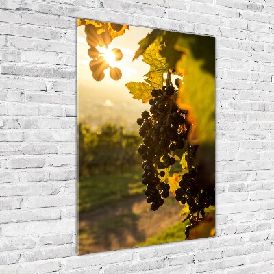 Wall art acrylic Vineyard