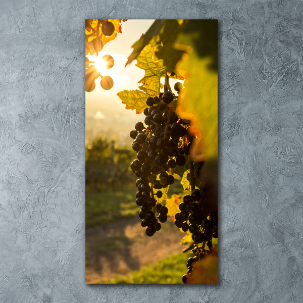 Wall art acrylic Vineyard