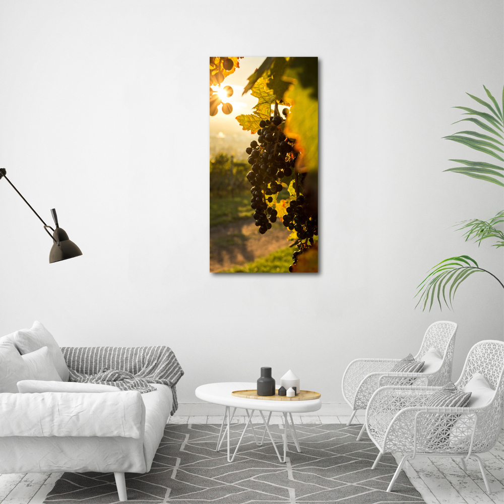 Wall art acrylic Vineyard