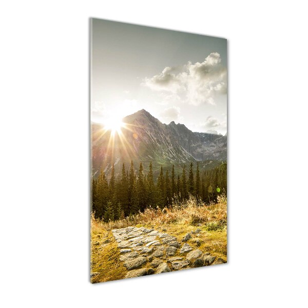 Acrylic wall art Sunset of the Tatra Mountains