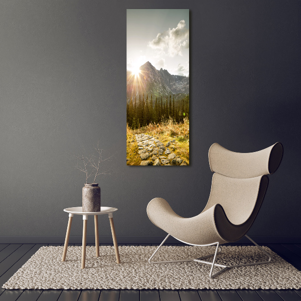 Acrylic wall art Sunset of the Tatra Mountains