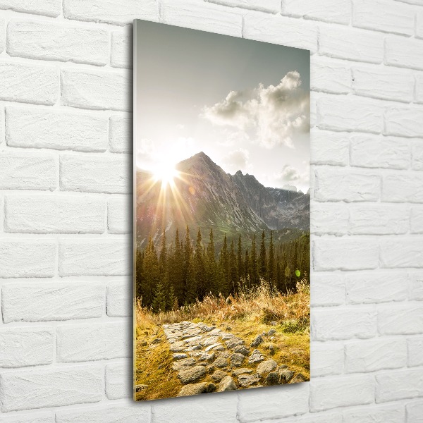 Acrylic wall art Sunset of the Tatra Mountains