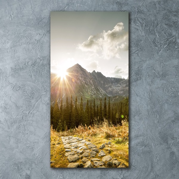 Acrylic wall art Sunset of the Tatra Mountains