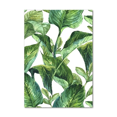 Print on acrylic Tropical leaves