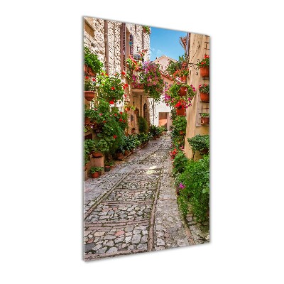 Wall art acrylic Umbria Italy