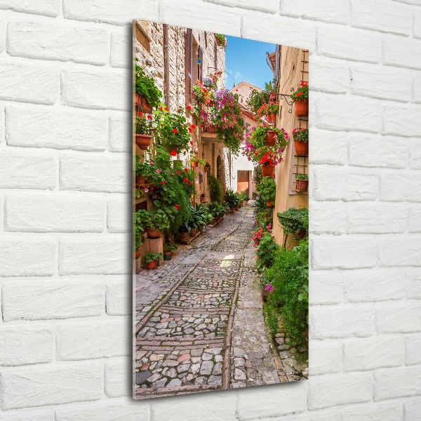 Wall art acrylic Umbria Italy