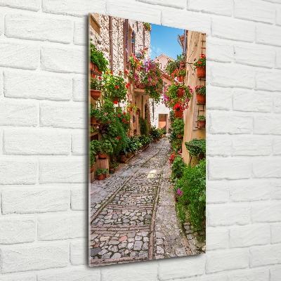 Wall art acrylic Umbria Italy