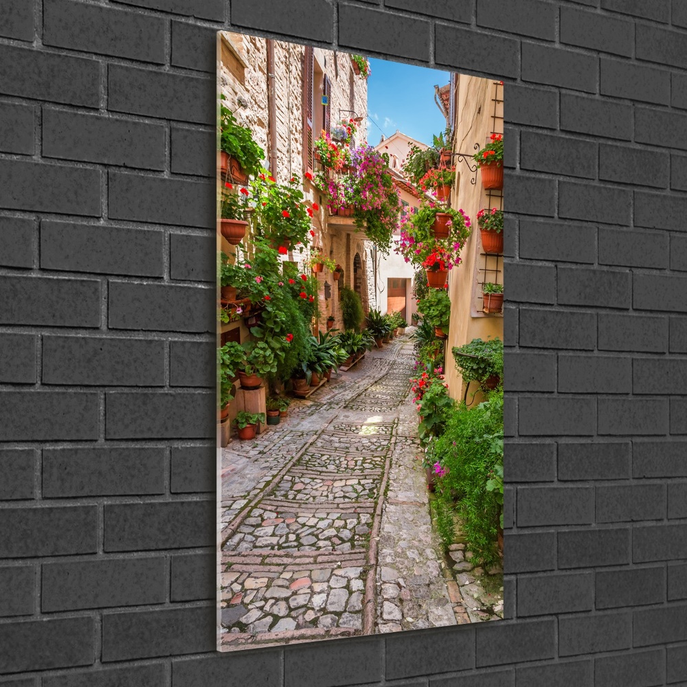 Wall art acrylic Umbria Italy