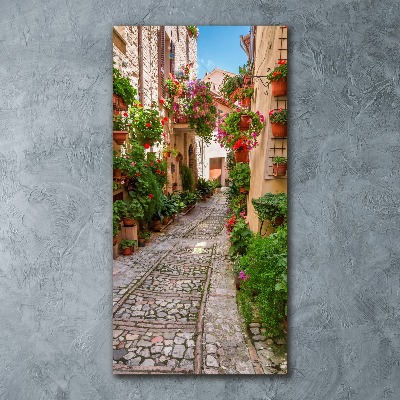 Wall art acrylic Umbria Italy