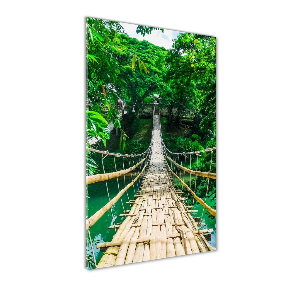 Print on acrylic Hanging bridge