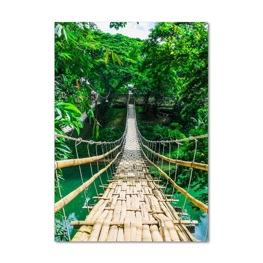 Print on acrylic Hanging bridge