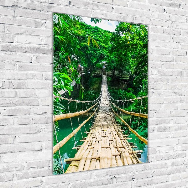 Print on acrylic Hanging bridge