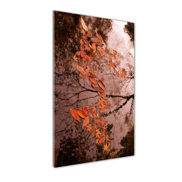 Acrylic glass print Autumn leaves