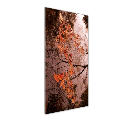 Acrylic glass print Autumn leaves