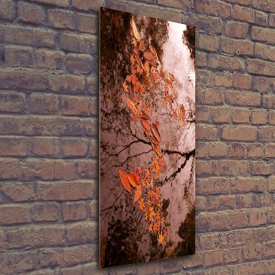 Acrylic glass print Autumn leaves