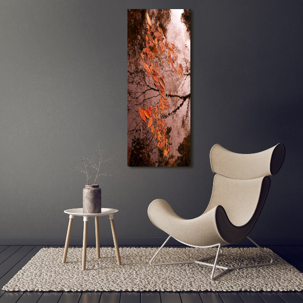 Acrylic glass print Autumn leaves