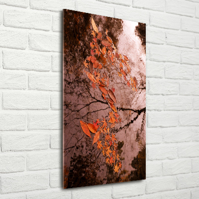 Acrylic glass print Autumn leaves