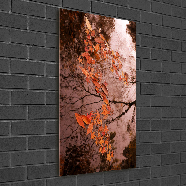 Acrylic glass print Autumn leaves