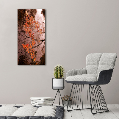 Acrylic glass print Autumn leaves