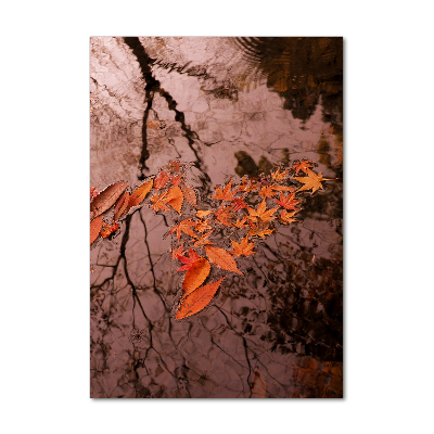 Acrylic glass print Autumn leaves