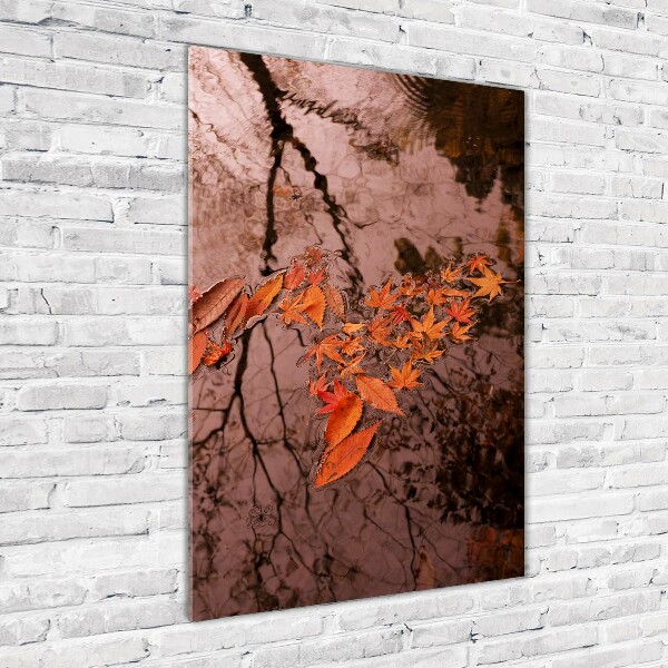 Acrylic glass print Autumn leaves