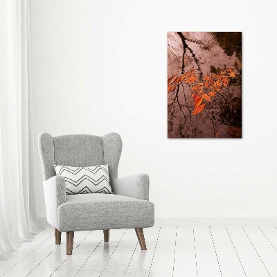 Acrylic glass print Autumn leaves