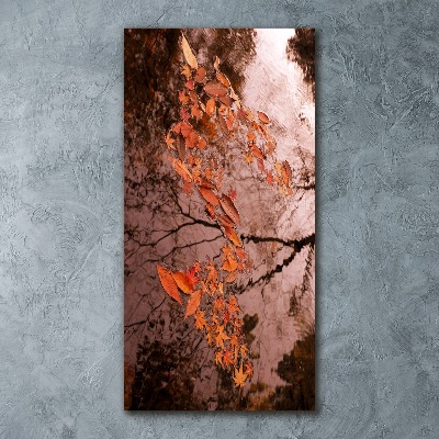 Acrylic glass print Autumn leaves