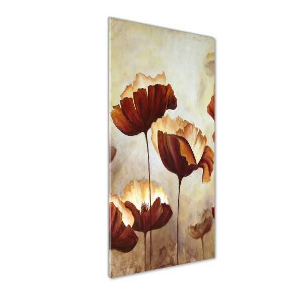 Acrylic glass print Field poppies