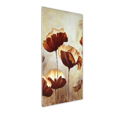 Acrylic glass print Field poppies