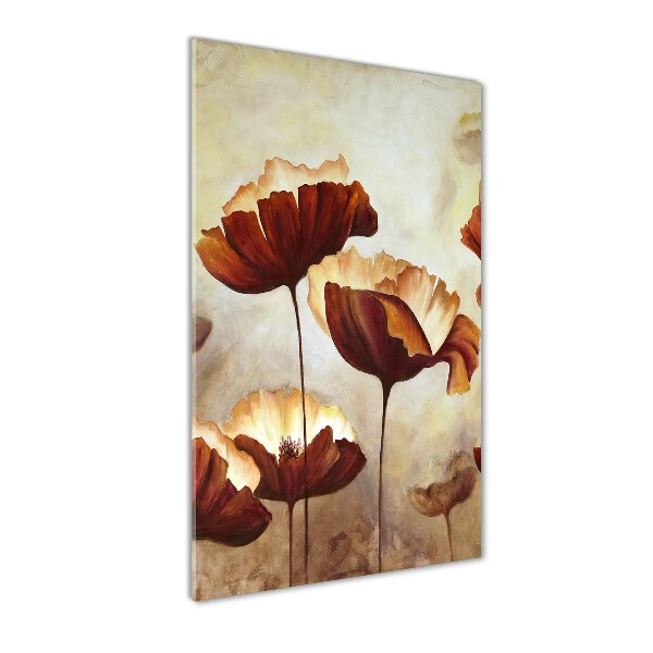 Acrylic glass print Field poppies