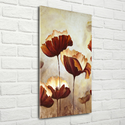 Acrylic glass print Field poppies