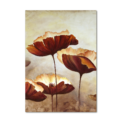 Acrylic glass print Field poppies