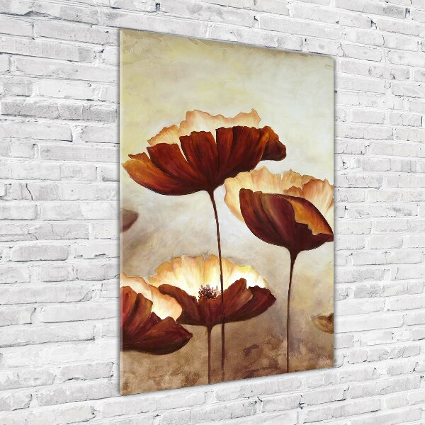 Acrylic glass print Field poppies