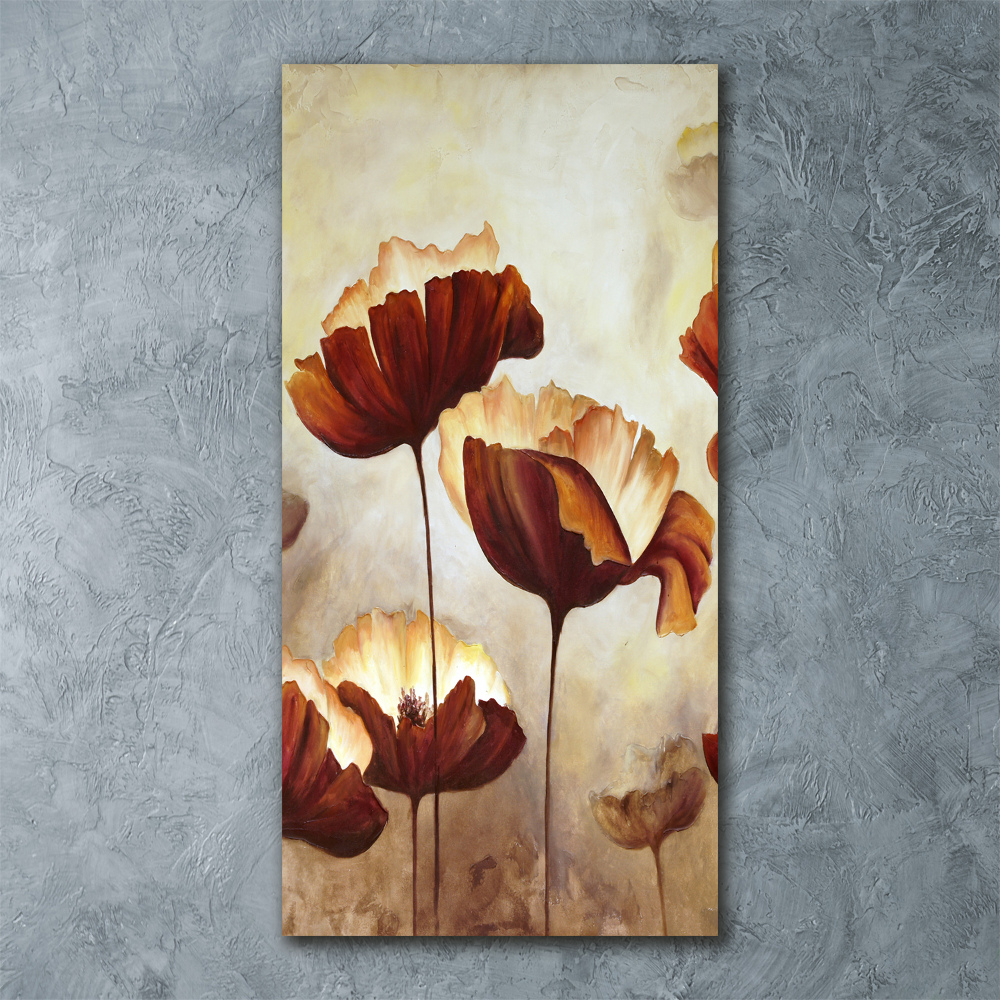 Acrylic glass print Field poppies