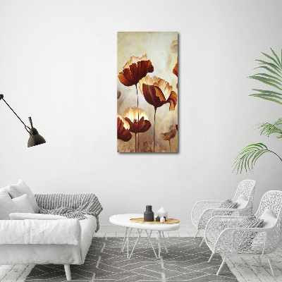 Acrylic glass print Field poppies