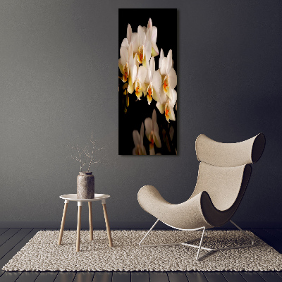 Print on acrylic Orchid