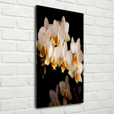 Print on acrylic Orchid