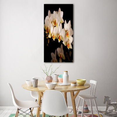 Print on acrylic Orchid