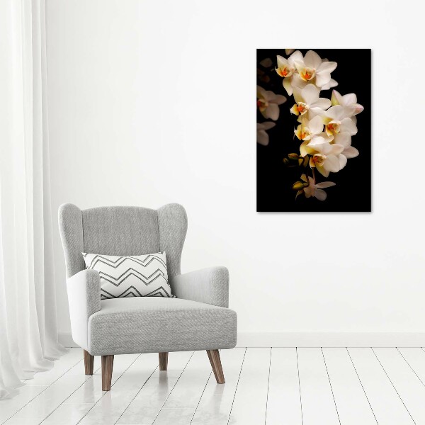 Print on acrylic Orchid