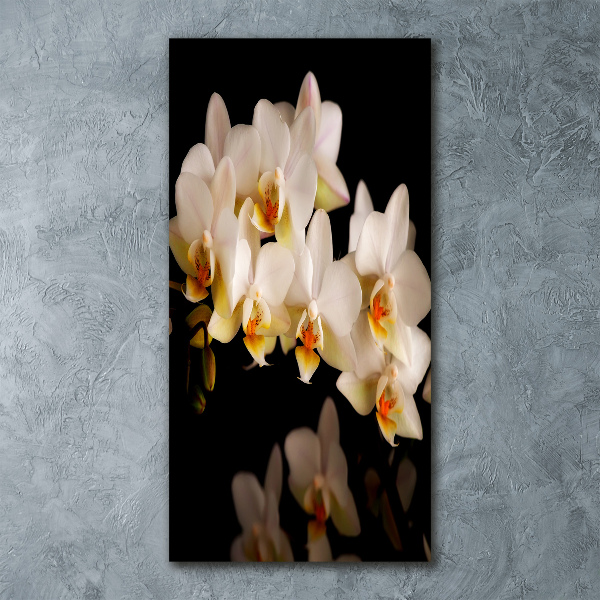 Print on acrylic Orchid