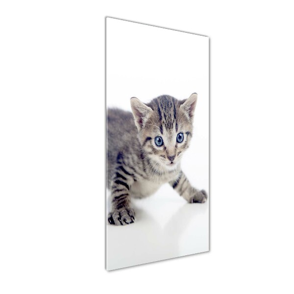 Wall art acrylic Small cat