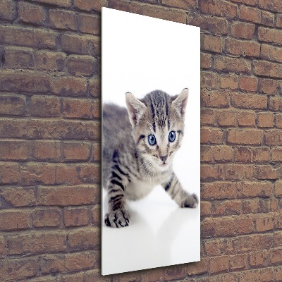 Wall art acrylic Small cat