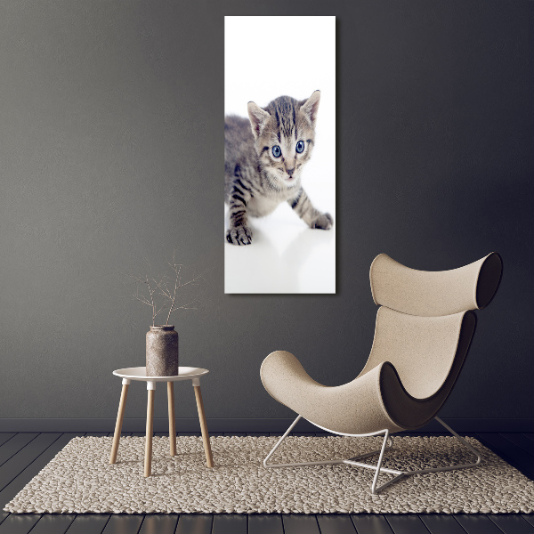 Wall art acrylic Small cat