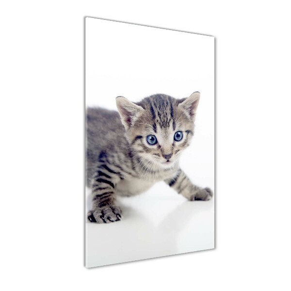 Wall art acrylic Small cat