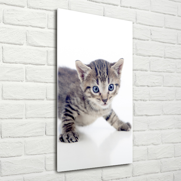 Wall art acrylic Small cat