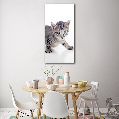 Wall art acrylic Small cat